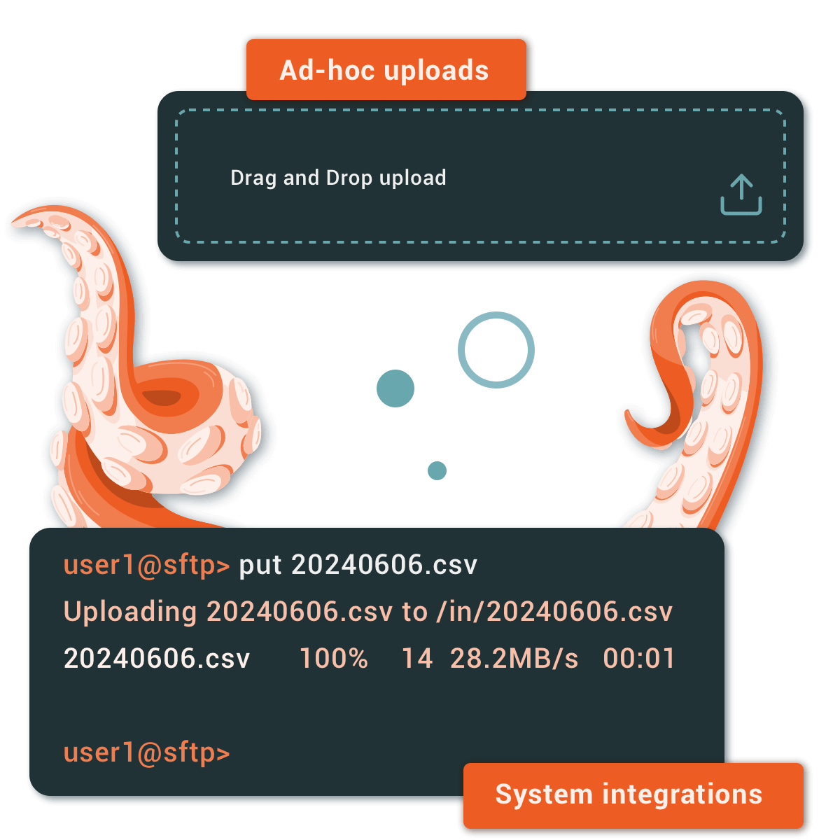 Upload your CSV or connect via SFTP